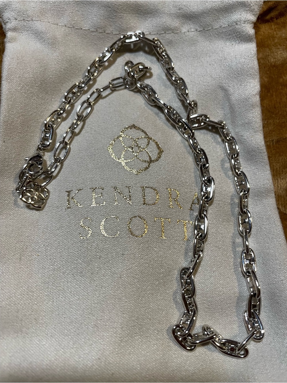 Kendra Scott Bailey Silver Chain Necklace